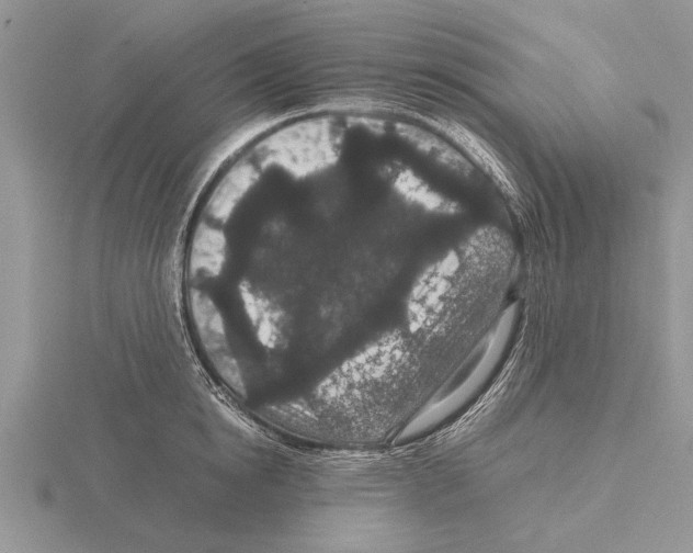 X0000115740854200912101313