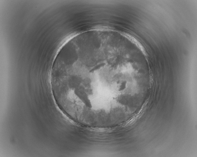 X0000115740855200912101313