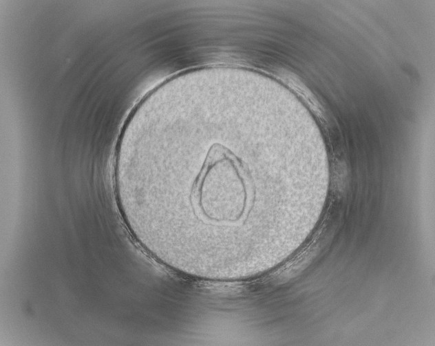 X0000115740856200912101313