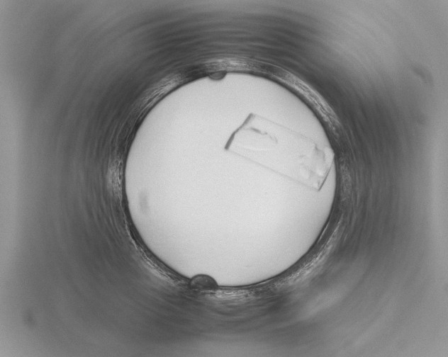 X0000115740857200912101313