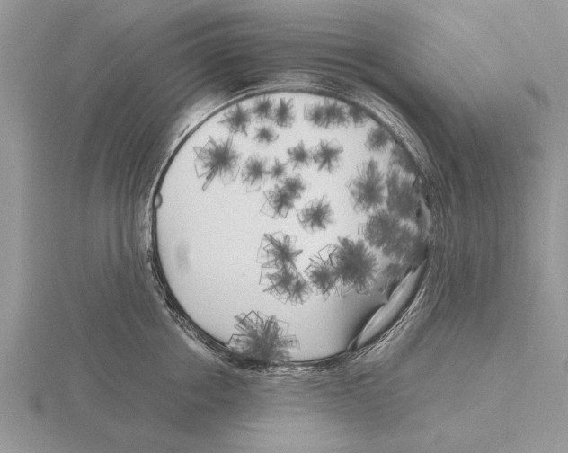 X0000115740858200912101313