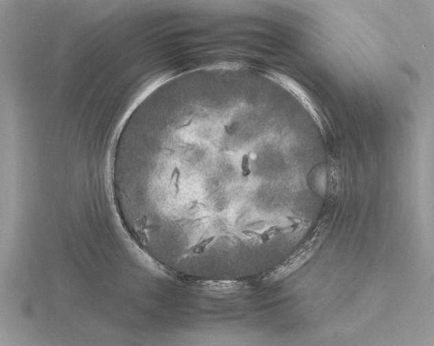 X0000115740859200912101313