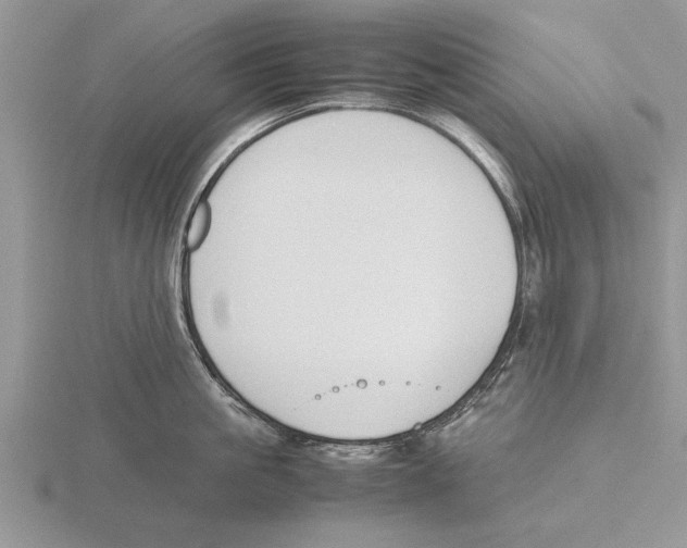 X0000115740861200912101313