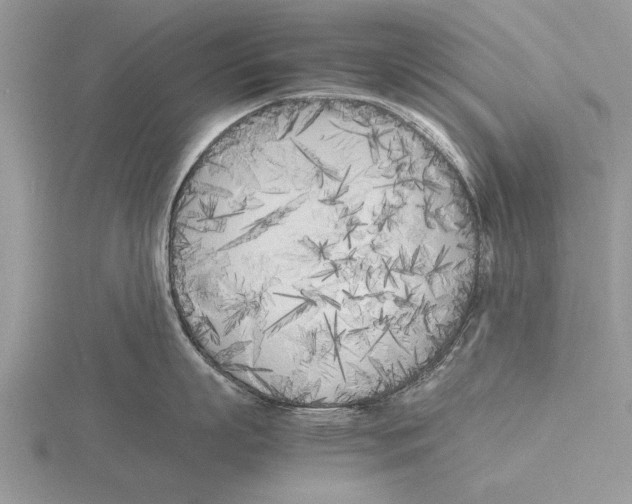 X0000115740863200912101313