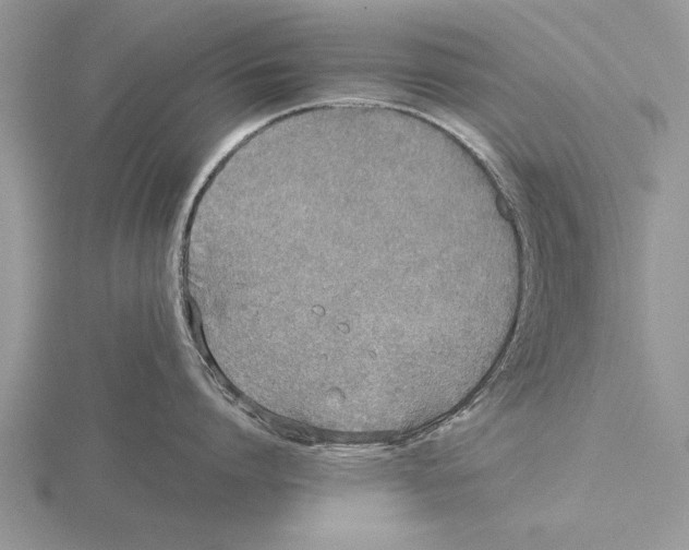 X0000115740864200912101313