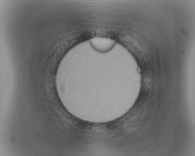 X0000115740865200912101312