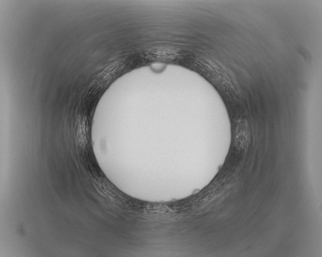 X0000115740866200912101312