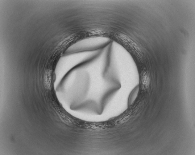 X0000115740868200912101312