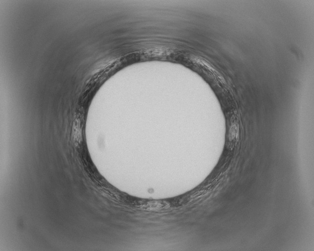 X0000115740869200912101312