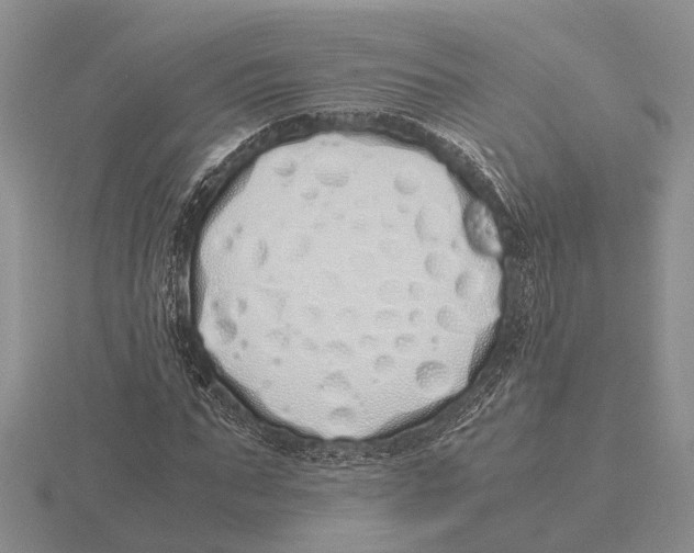 X0000115740871200912101312