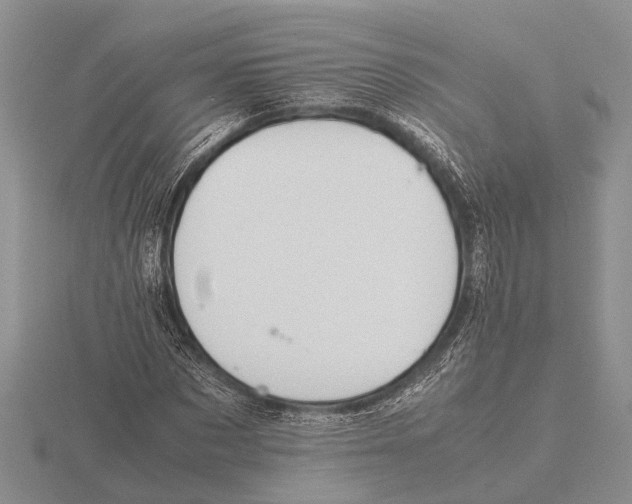 X0000115740873200912101312