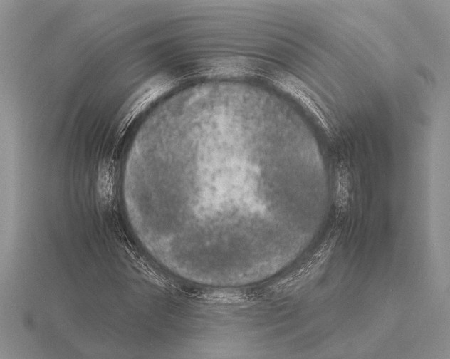 X0000115740874200912101312