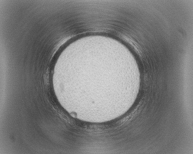 X0000115740875200912101312