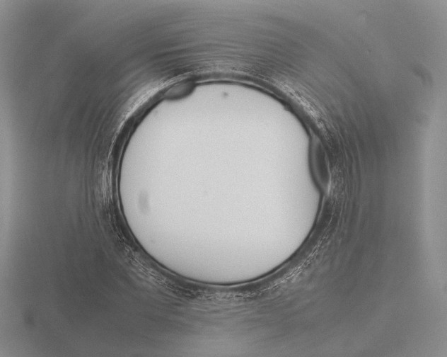 X0000115740877200912101312