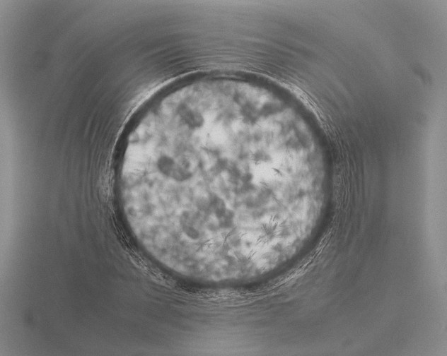 X0000115740879200912101312