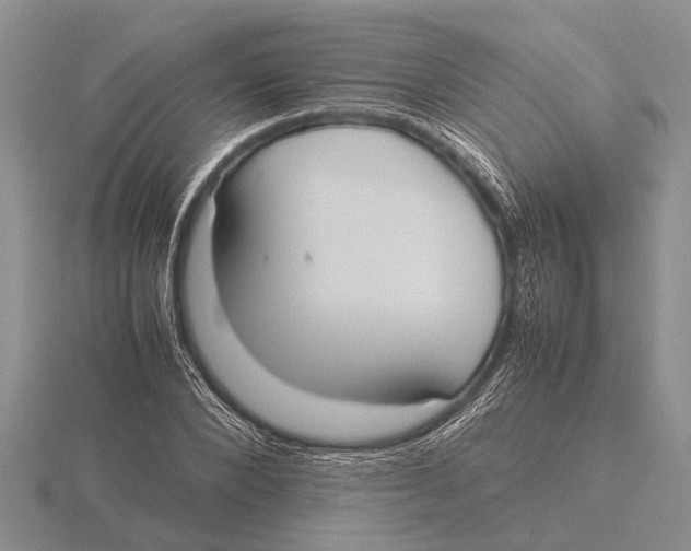 X0000115740880200912101312