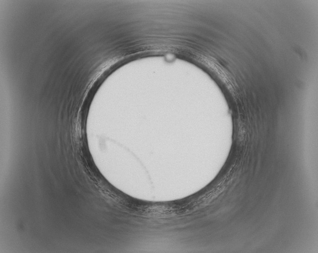 X0000115740883200912101312