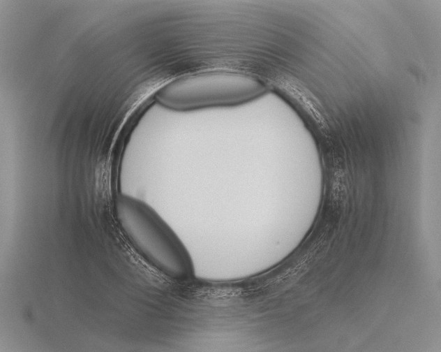 X0000115740884200912101312