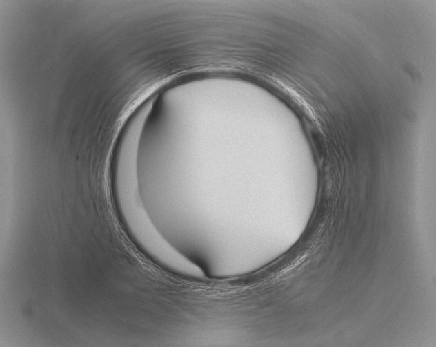 X0000115740885200912101312