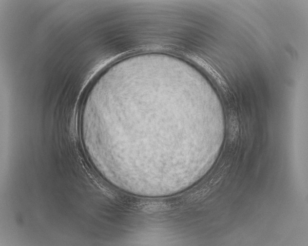 X0000115740886200912101312