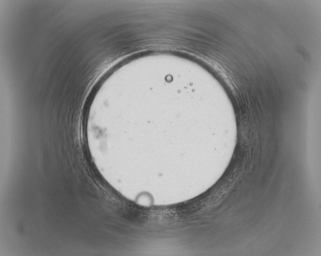 X0000115740887200912101312