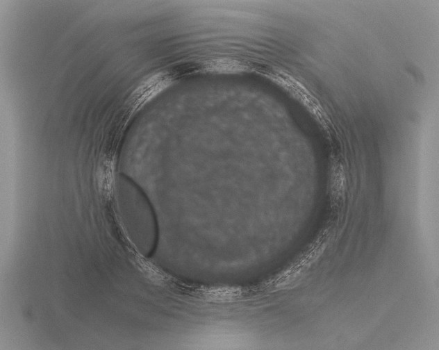 X0000115740889200912101312