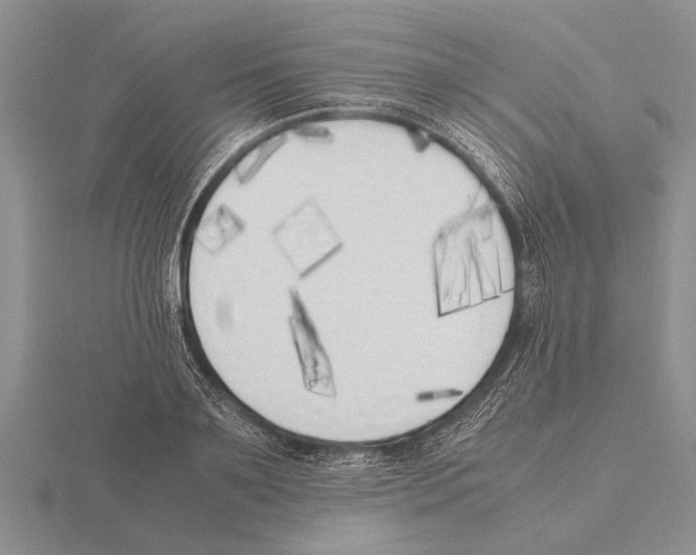 X0000115740891200912101312