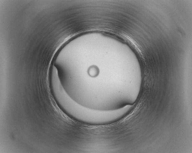 X0000115740892200912101312