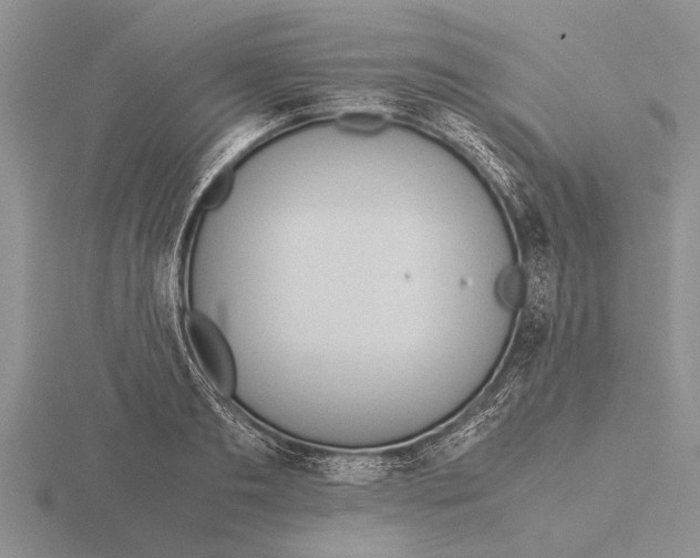 X0000115740893200912101312