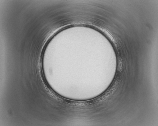 X0000115740895200912101312