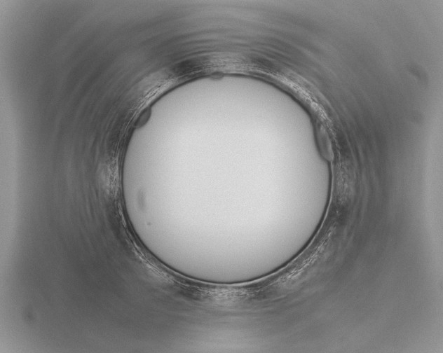 X0000115740897200912101312