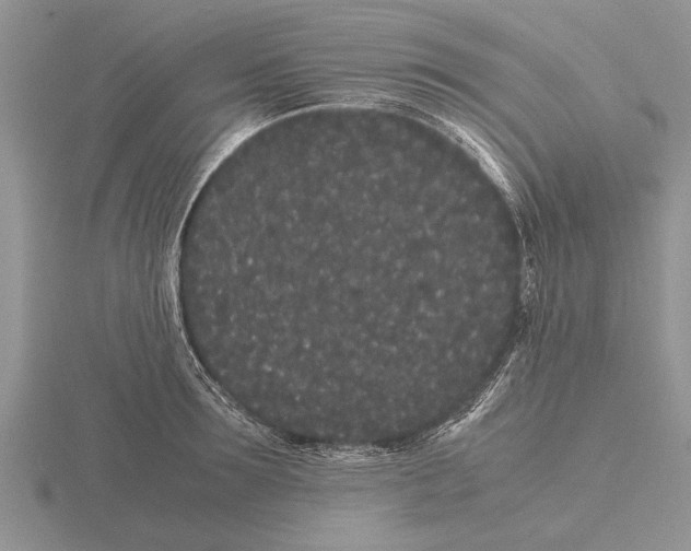 X0000115740899200912101312