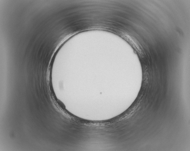 X0000115740900200912101312