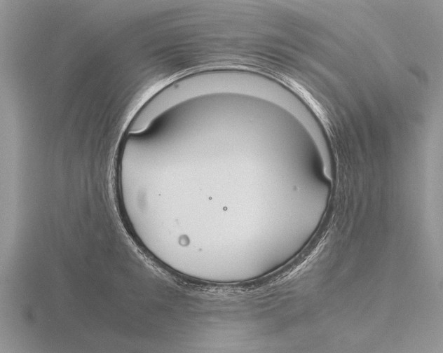 X0000115740901200912101312