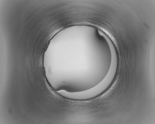 X0000115740905200912101312