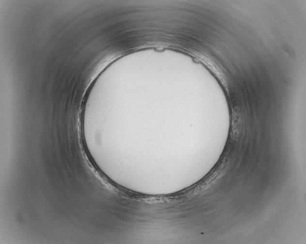 X0000115740906200912101312