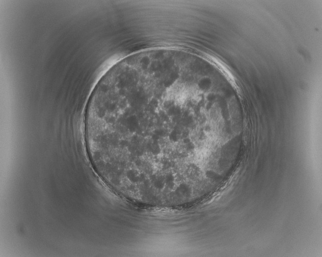 X0000115740907200912101312