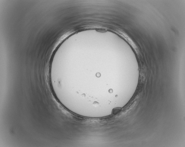 X0000115740909200912101312