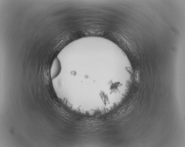 X0000115740915200912101311