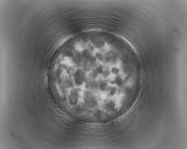 X0000115740921200912101311