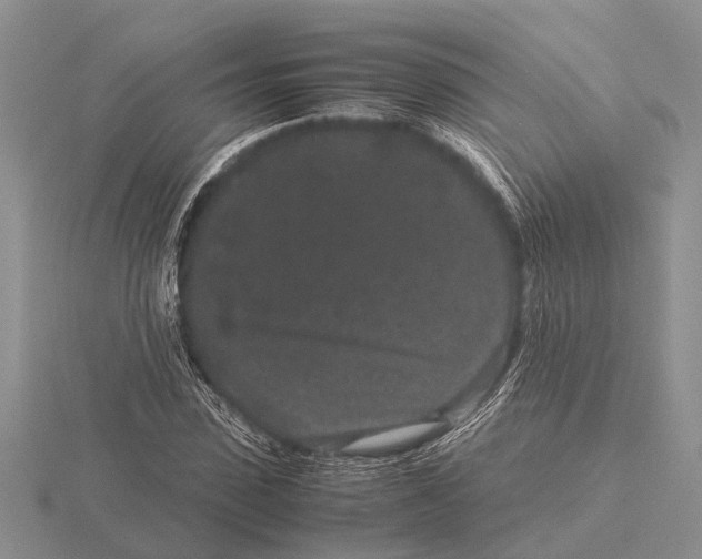 X0000115740923200912101311