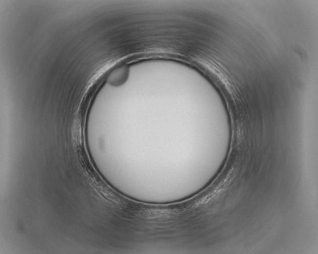 X0000115740925200912101311