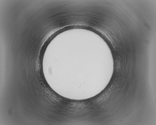 X0000115740927200912101311