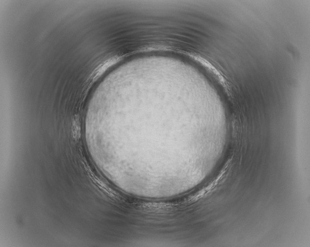 X0000115740929200912101311