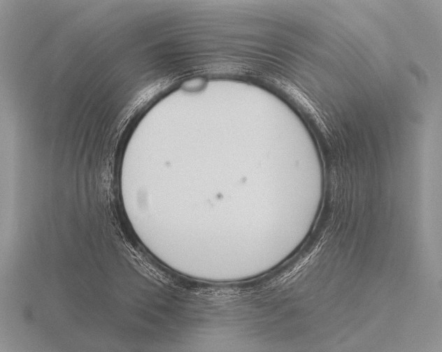 X0000115740930200912101311