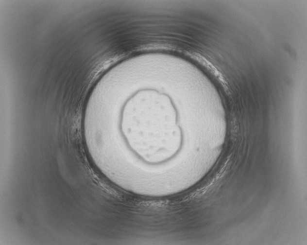 X0000115740937200912101311