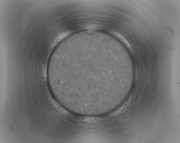 X0000115740938200912101311