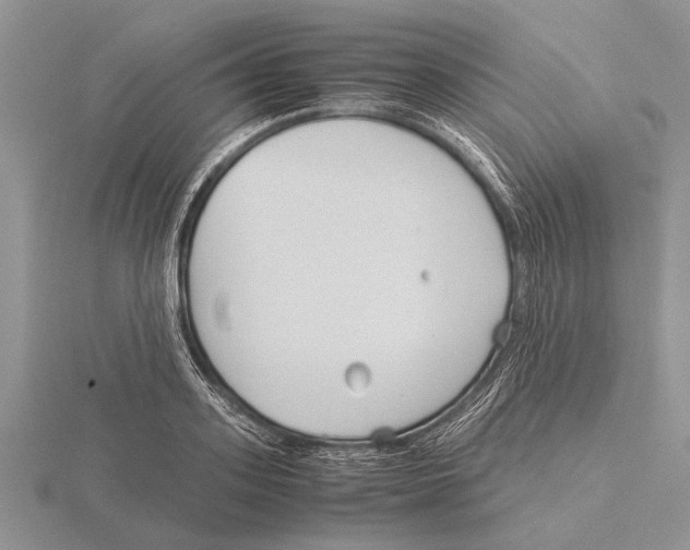 X0000115740939200912101311