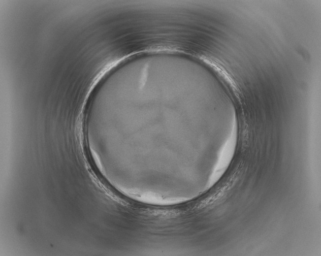 X0000115740941200912101311