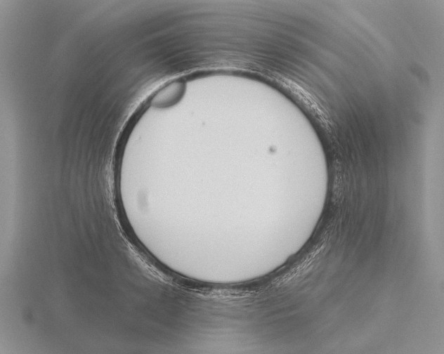 X0000115740942200912101311